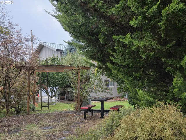 a big yard with lots of green space and plants