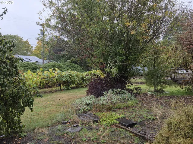 a view of outdoor space with deck and trees