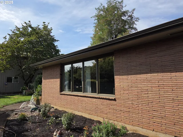 a view of a backyard with potted plants