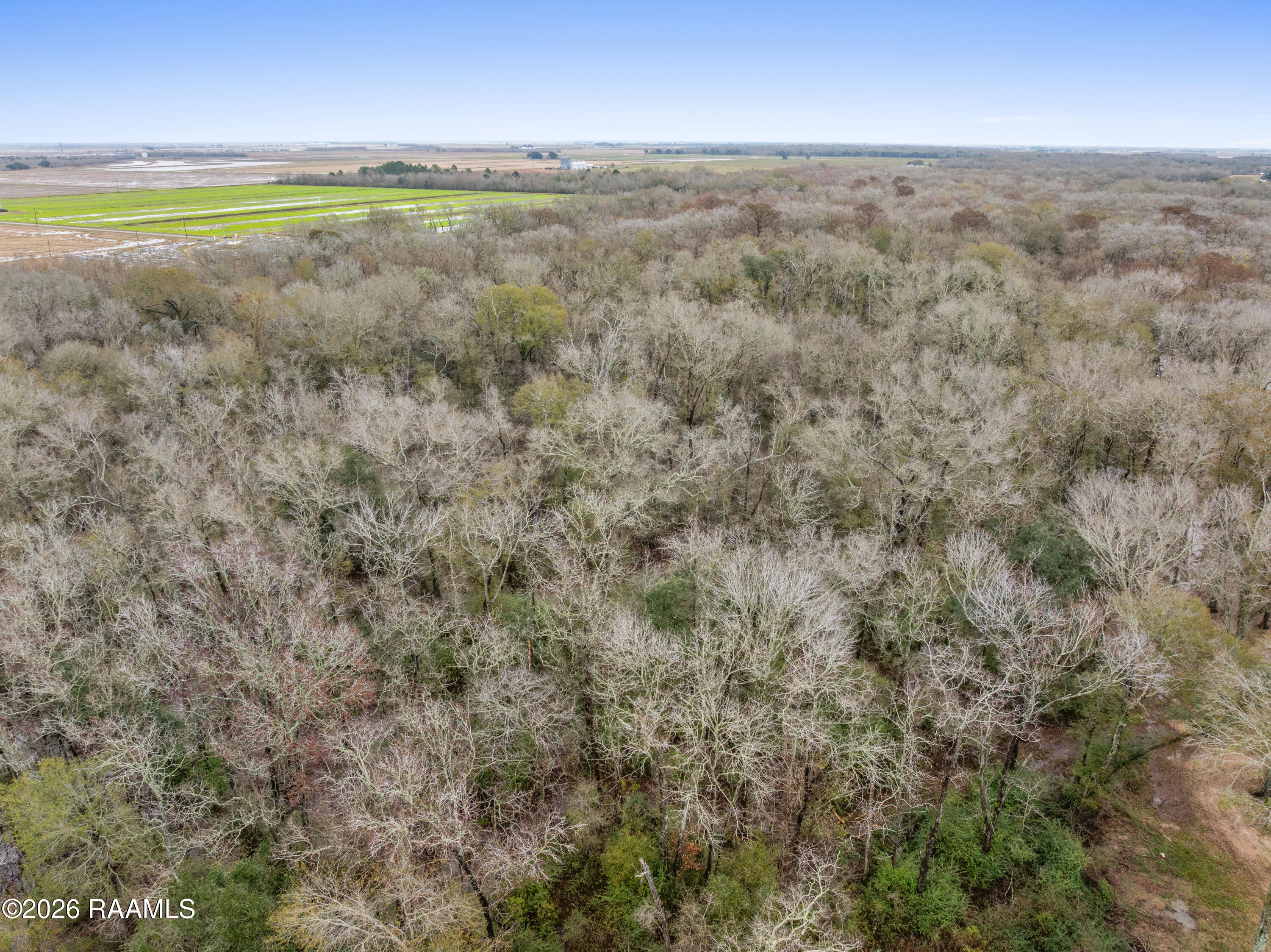 0 Sally Road Morse, LA 70559 - Photo 8 of 14 DJI_20260122074749_0728_D