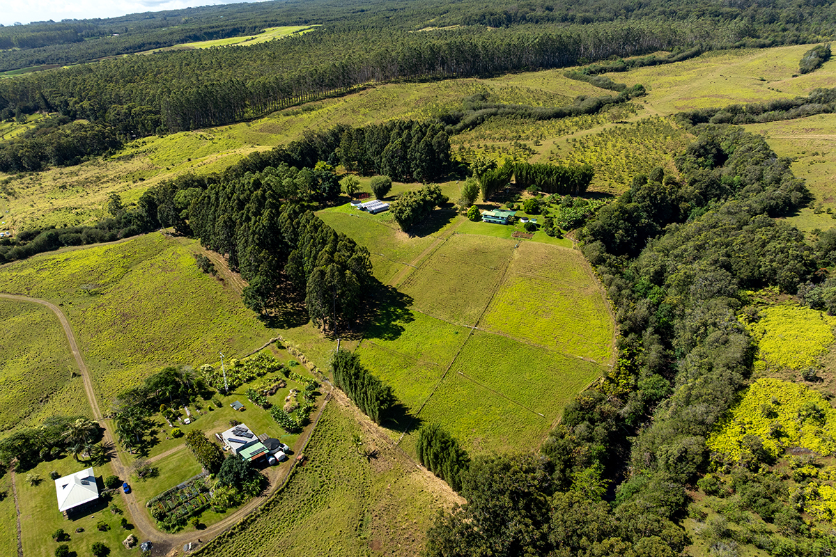35-486 Pahale Road Papaaloa, HI 96780 - Photo 13 of 30 a view of an outdoor space
