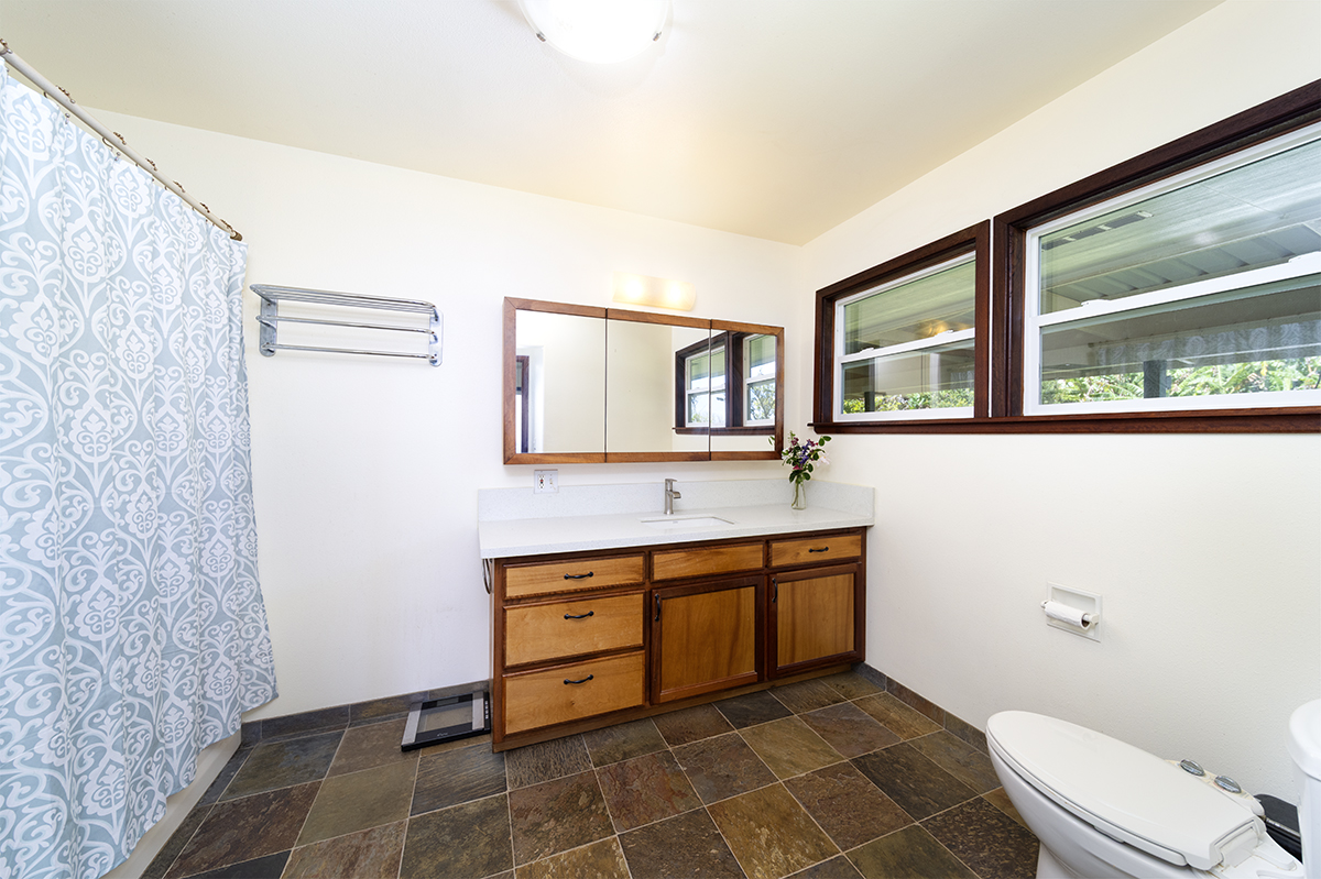 35-486 Pahale Road Papaaloa, HI 96780 - Photo 15 of 30 a bathroom with a sink a toilet and mirror