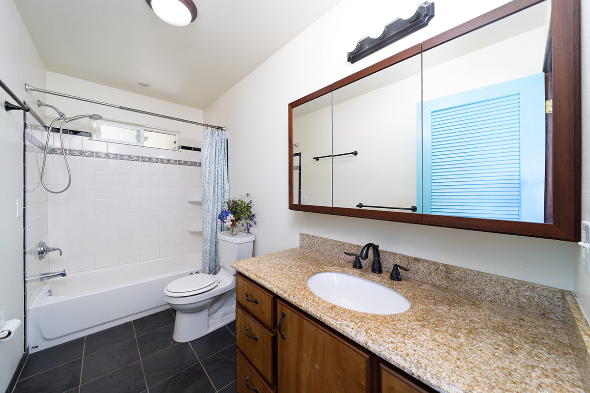 35-486 Pahale Road Papaaloa, HI 96780 - Photo 17 of 30 a bathroom with a granite countertop sink toilet and shower