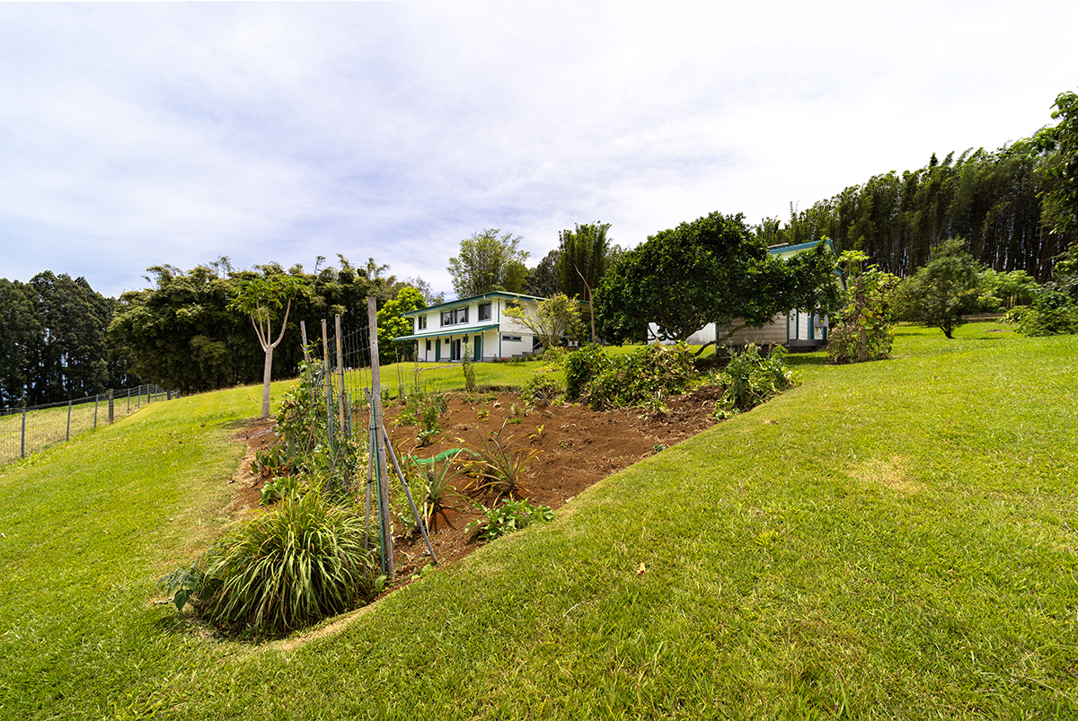 35-486 Pahale Road Papaaloa, HI 96780 - Photo 26 of 30 a view of a yard with swimming pool