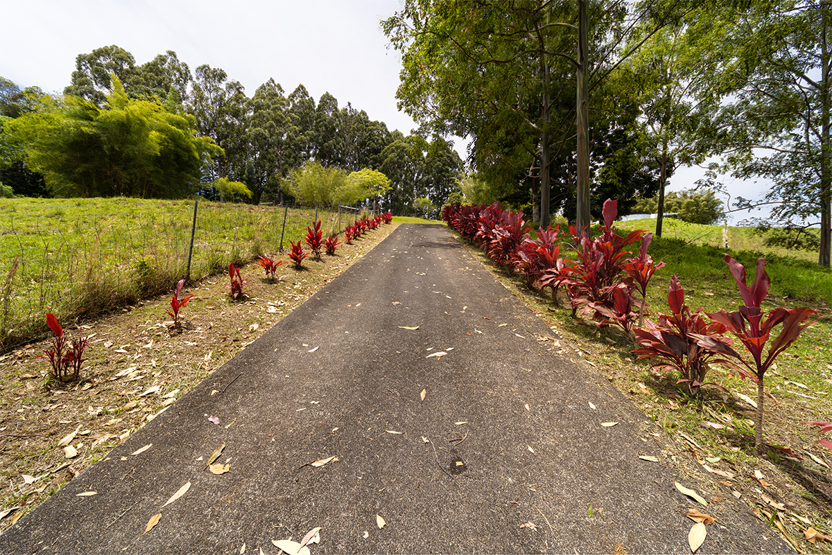 35-486 Pahale Road Papaaloa, HI 96780 - Photo 30 of 30 a view of street with flower plants