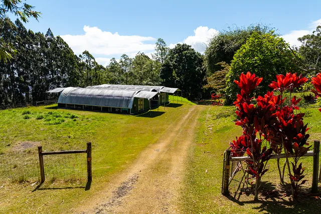 a view of a building with a garden