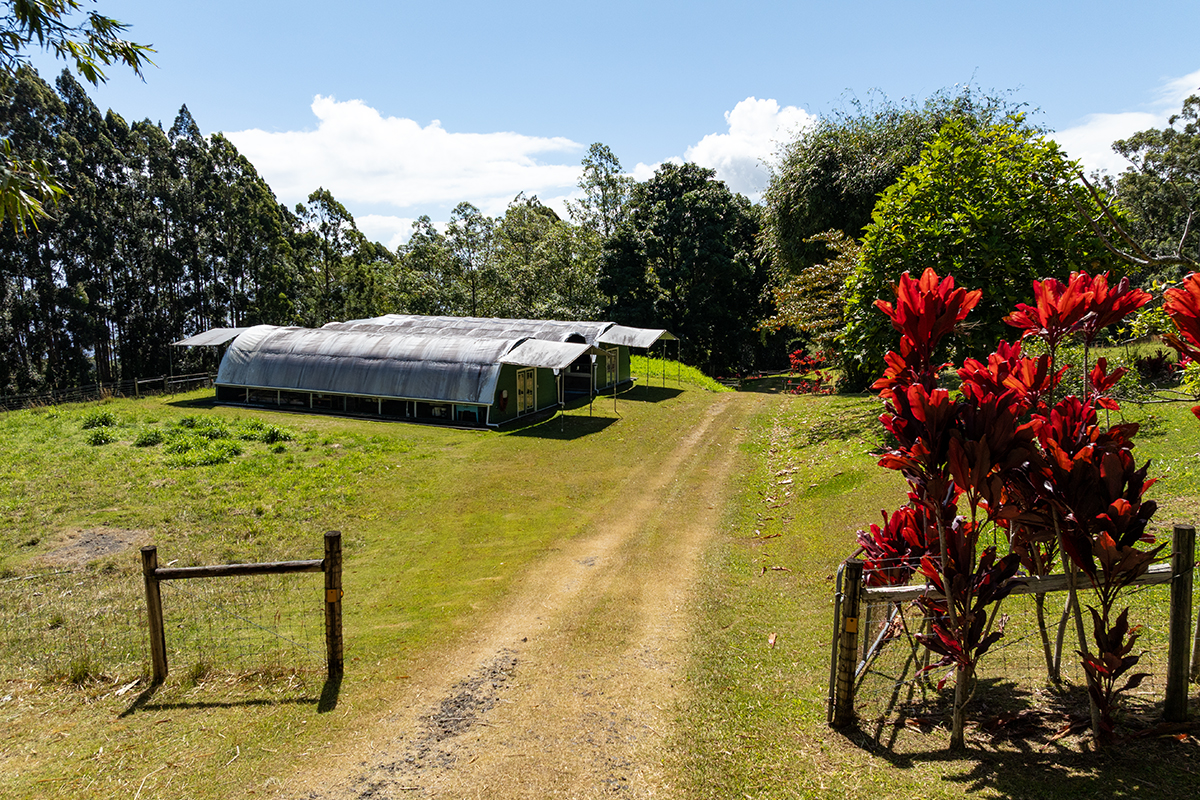 35-486 Pahale Road Papaaloa, HI 96780 - Photo 6 of 30 a view of a swimming pool with an outdoor seating and a yard