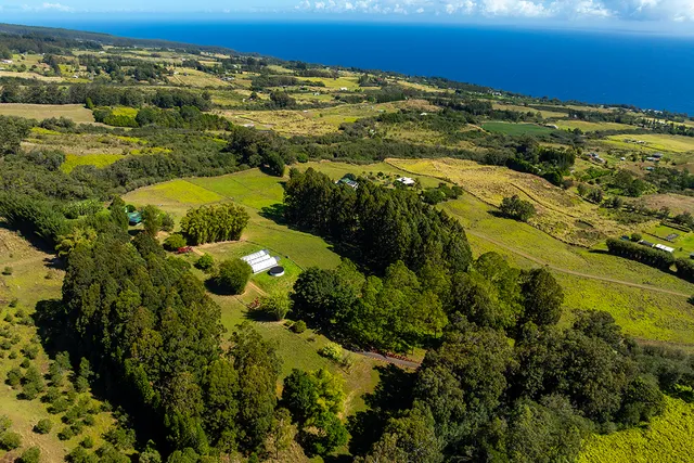 a kitchen with stainless steel appliances granite countertop wooden cabinets a stove a sink and a microwave