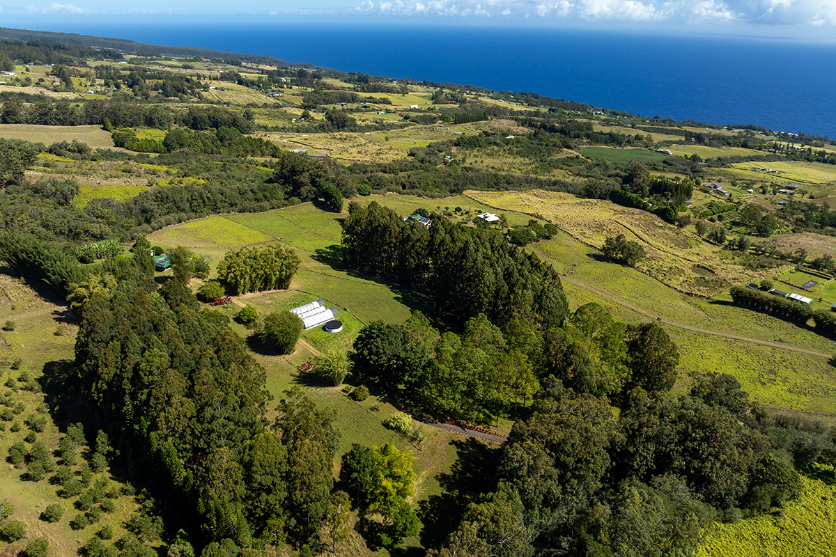 35-486 Pahale Road Papaaloa, HI 96780 - Photo 8 of 30 a view of a lake