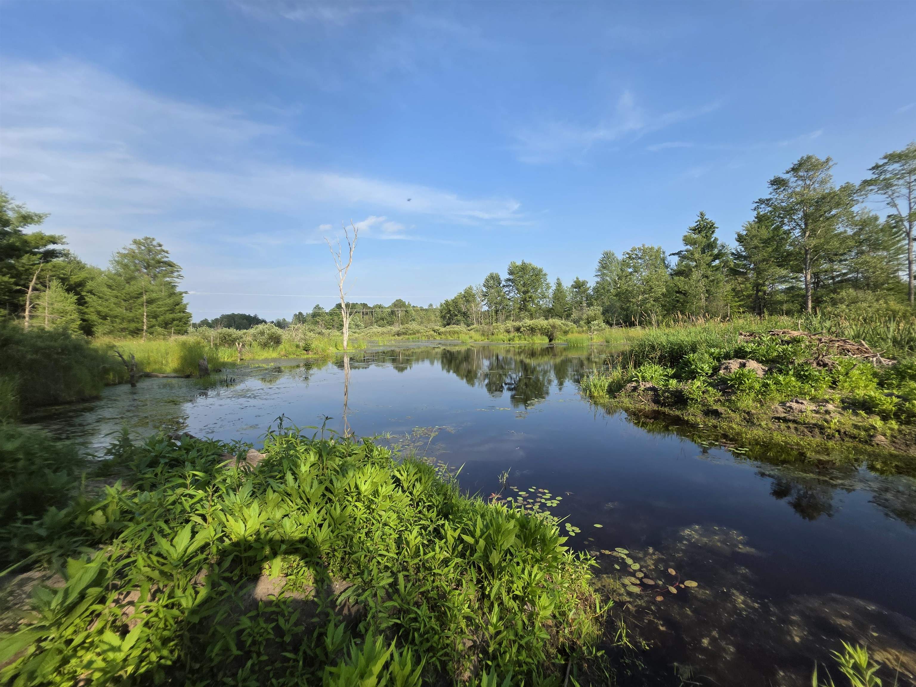 0 Arnold Road Manton, MI 49663 - Photo 53 of 63