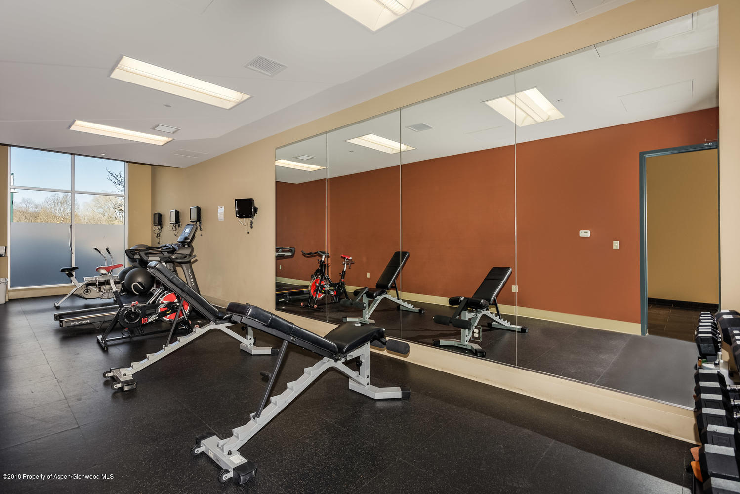 361 Robinson Street, Unit 202 Basalt, CO 81621 - Photo 20 of 29 a view of a room with gym equipment