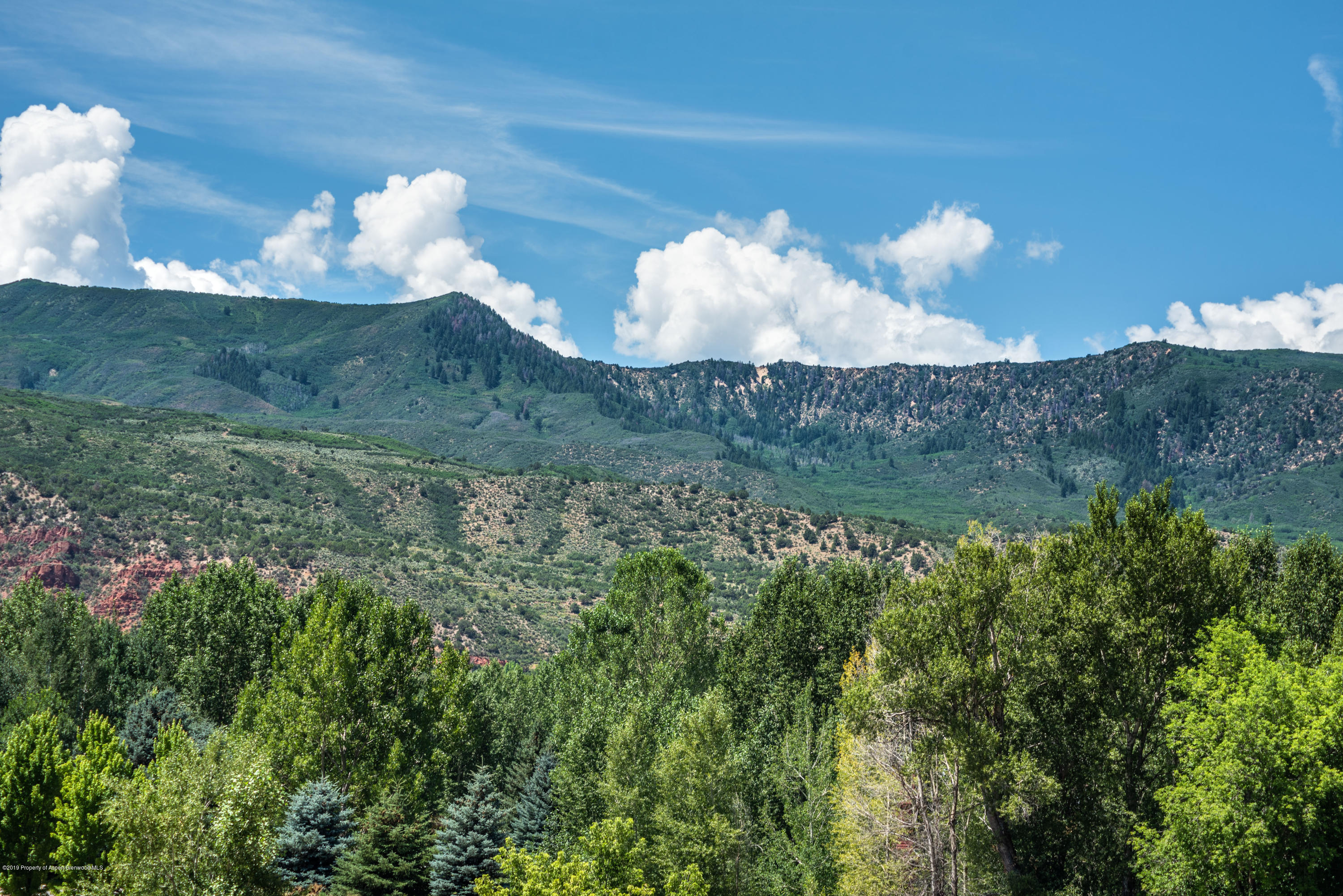 361 Robinson Street, Unit 202 Basalt, CO 81621 - Photo 27 of 29 a view of a lake in middle of the forest