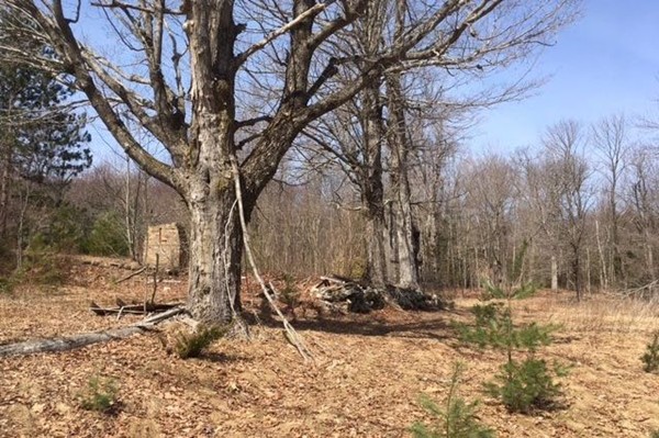 2 Wachusett Street Rutland, MA 01543 - Photo 3 of 3 Gallery Image 3
