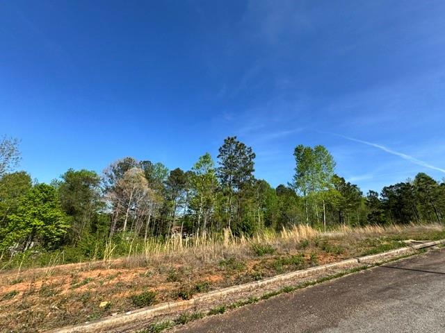 228 Oakdale Way Temple, GA 30179 - Photo 7 of 8 a view of a yard