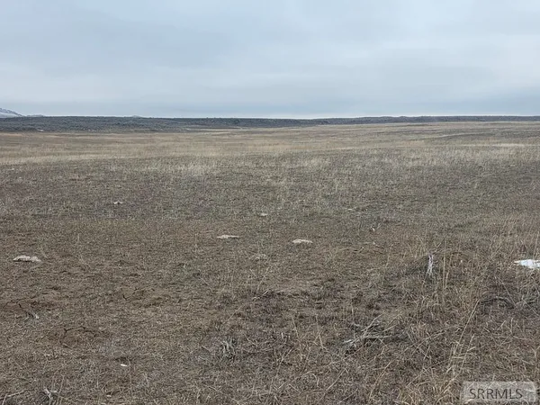 $1,800,000 | 200.64-ac Red Road, St. Anthony, ID 83445