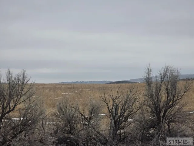 $1,800,000 | 200.64-ac Red Road, St. Anthony, ID 83445