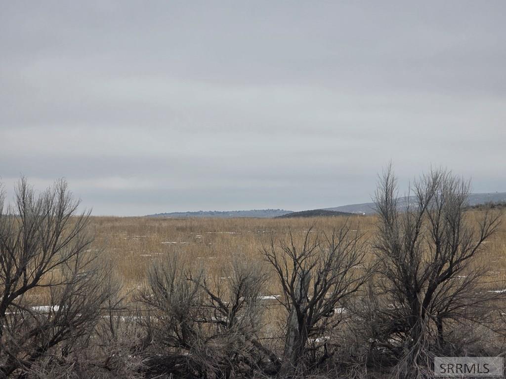 200.64-ac Red Road St. Anthony, ID 83445 - Photo 12 of 12