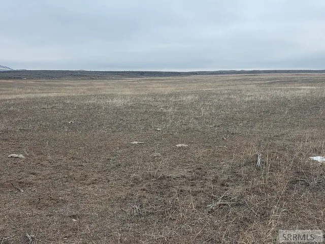 $1,800,000 | 200.64-ac Red Road, St. Anthony, ID 83445