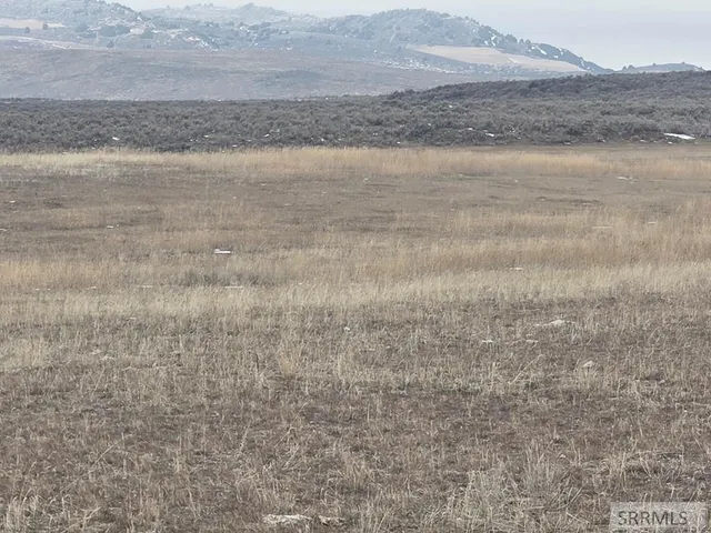 $1,800,000 | 200.64-ac Red Road, St. Anthony, ID 83445