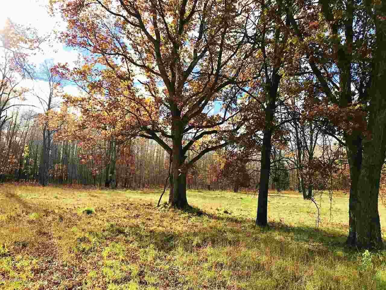7 7 Mile Road Sears, MI 49679 - Photo 26 of 39
