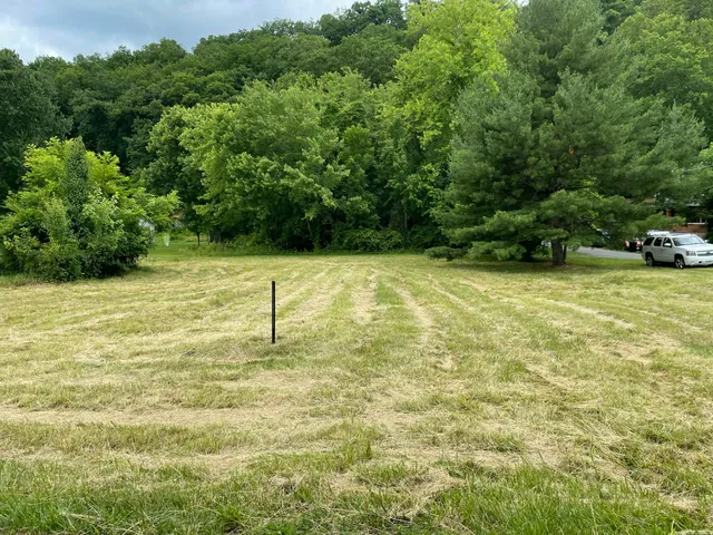 a view of a green yard
