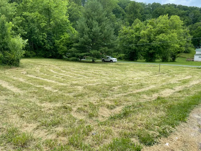 $25,000 | 0 Market Avenue, Iron Gate, VA 24448