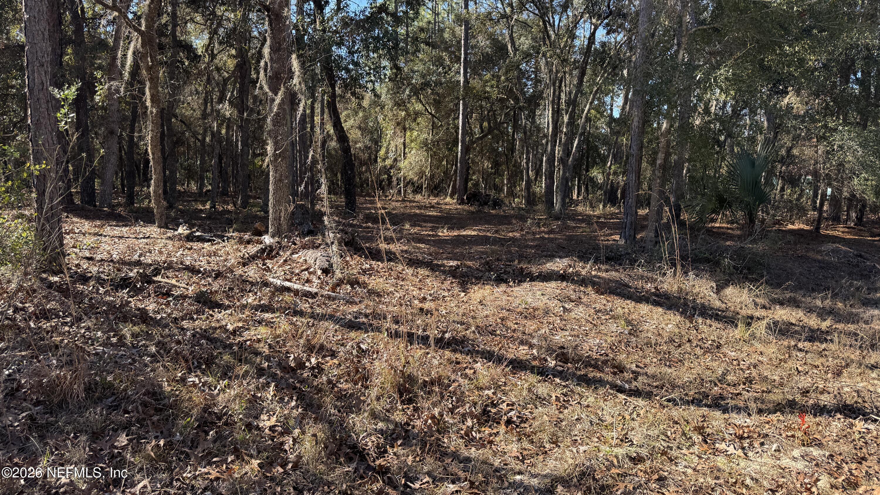 131 Spring Lake Road Interlachen, FL 32148 - Photo 3 of 5 131 Spring LK Dr, Putnam County, FL