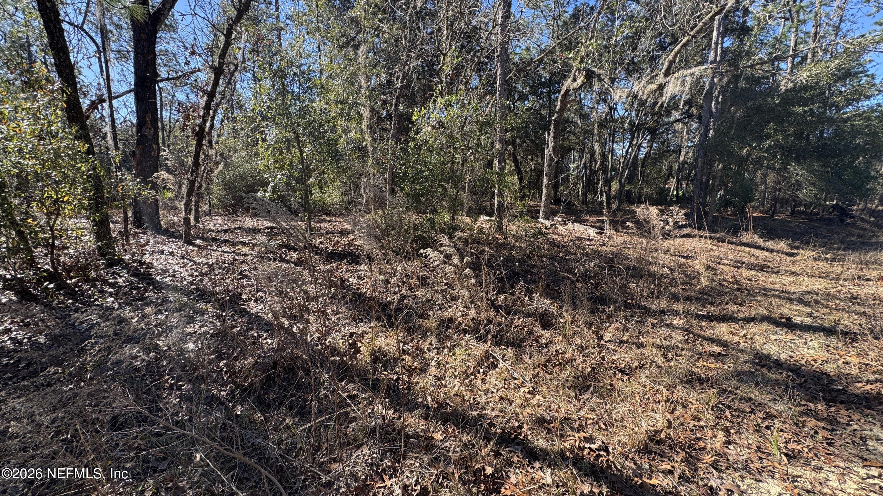 131 Spring Lake Road Interlachen, FL 32148 - Photo 4 of 5 131 Spring LK Dr, Putnam County, FL