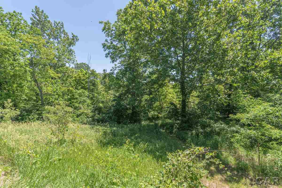 12119 Hogan Road Clinton, MI 49236 - Photo 64 of 80