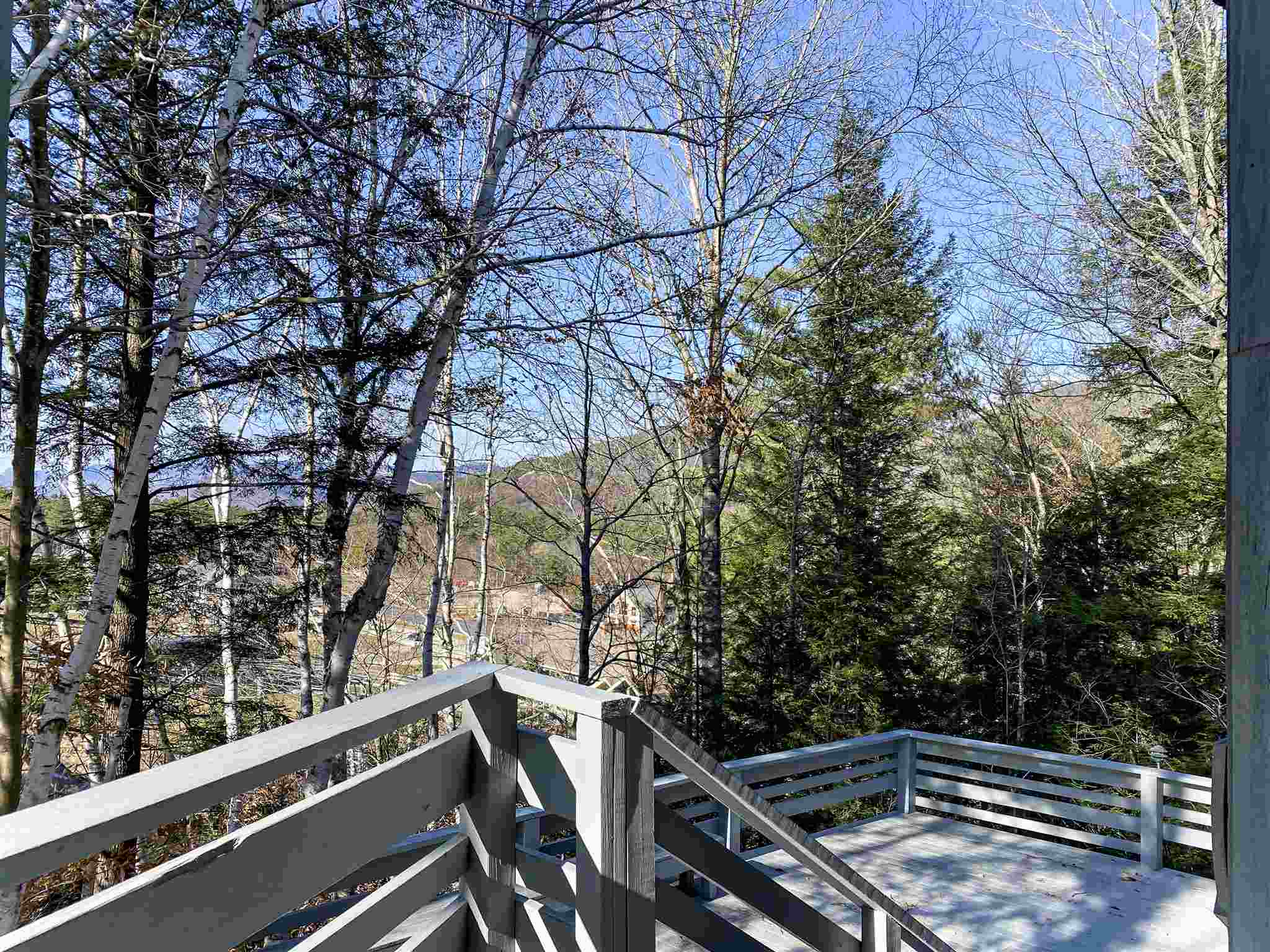 243 Cow Hill Road, Unit 16 Bartlett, NH 03812 - Photo 22 of 35 Gallery Image 22