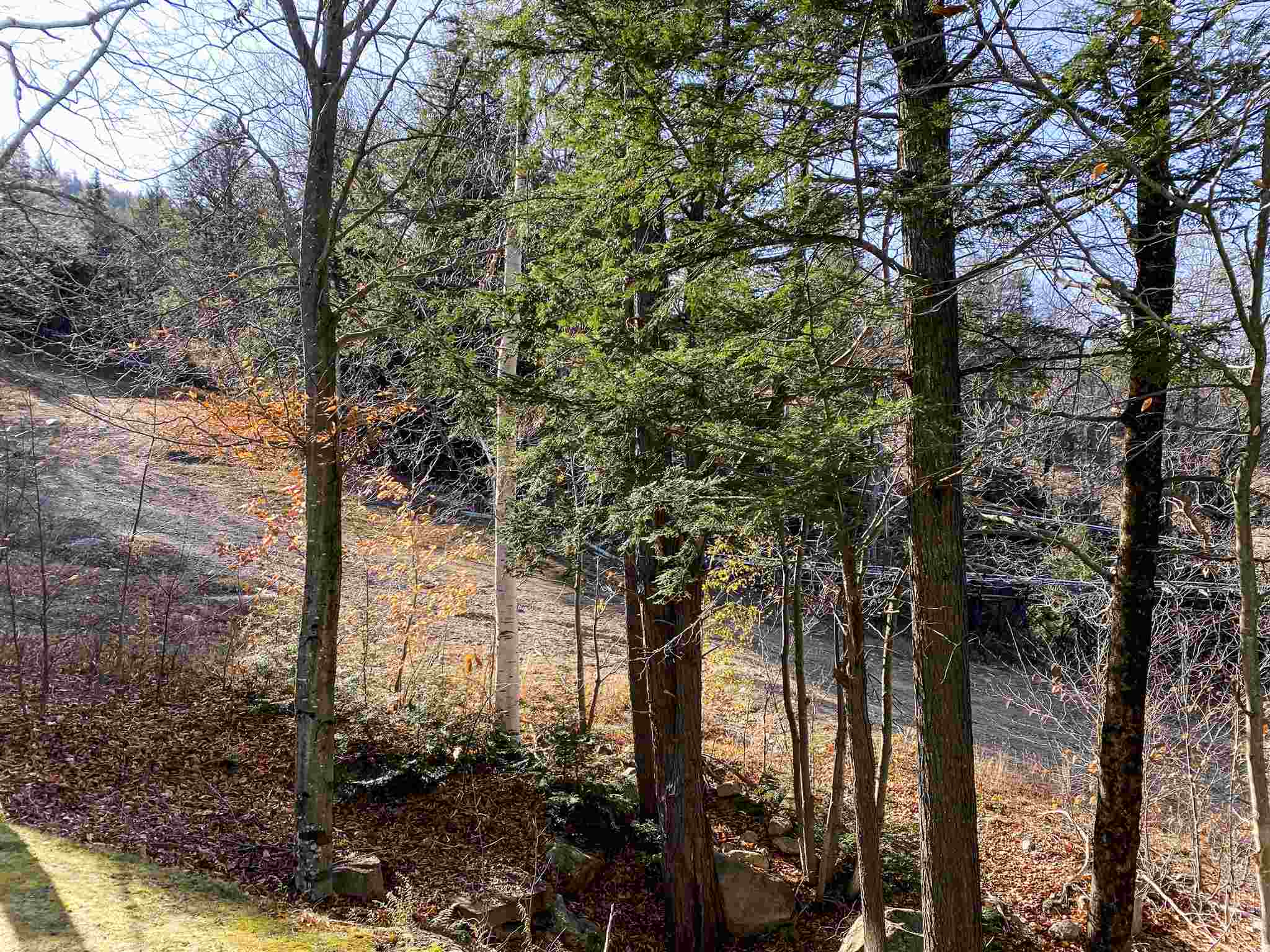 243 Cow Hill Road, Unit 16 Bartlett, NH 03812 - Photo 24 of 35 Gallery Image 24