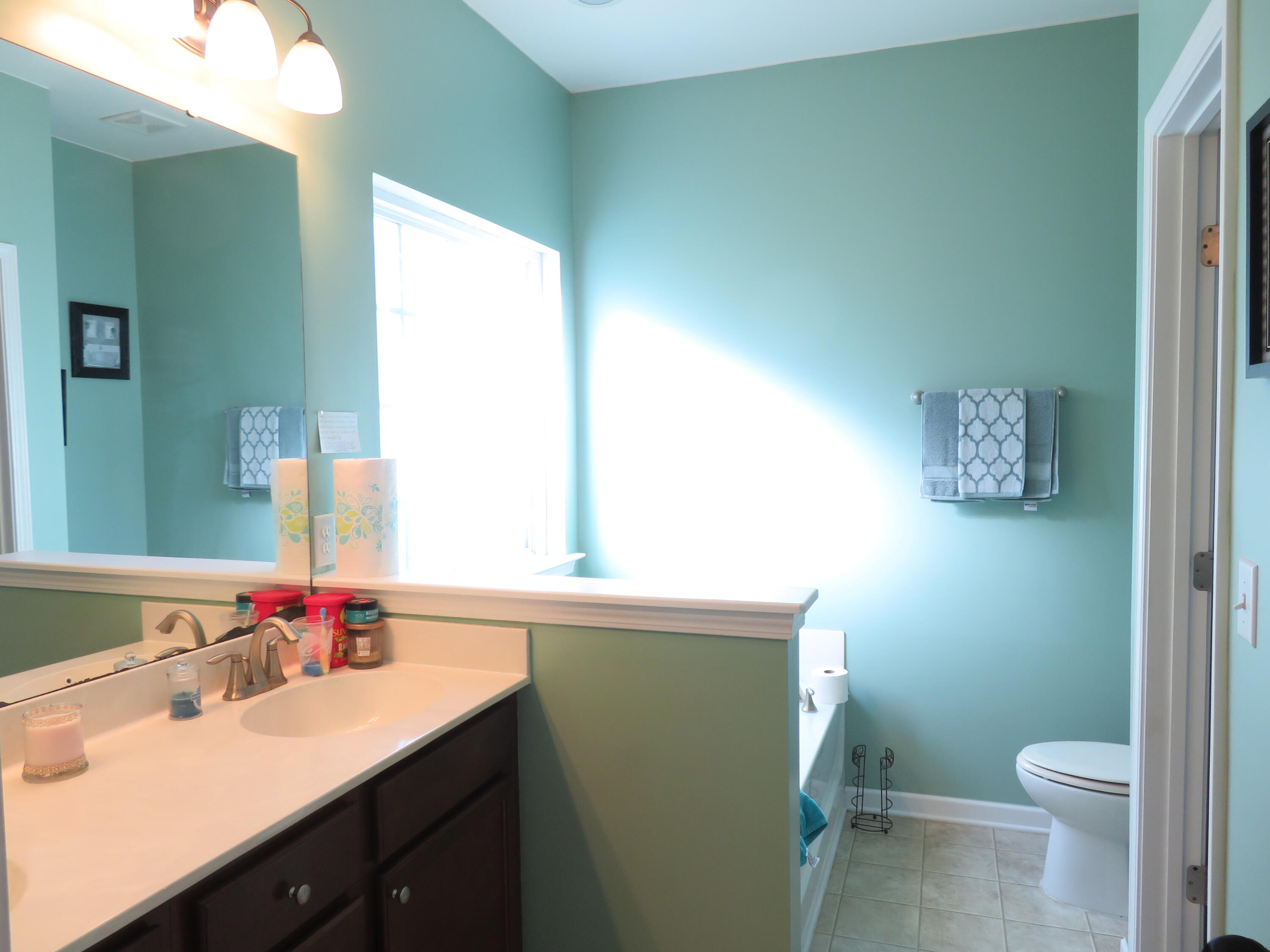 9651 Spencer Woods Road Ladson, SC 29456 - Photo 8 of 12 Master Bathroom