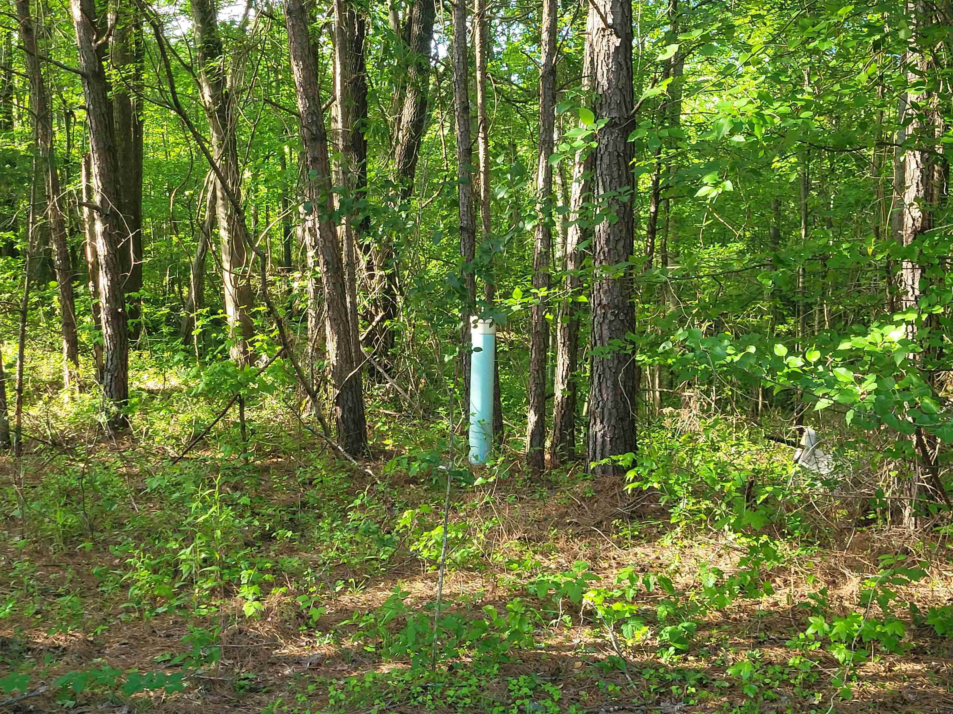 7116 Browns Mill Road Lithonia, GA 30038 - Photo 3 of 3