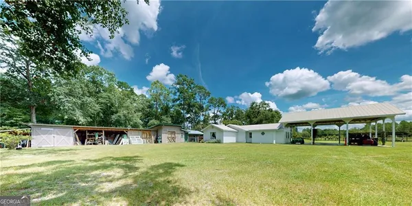 a view of a backyard with plants and large tree