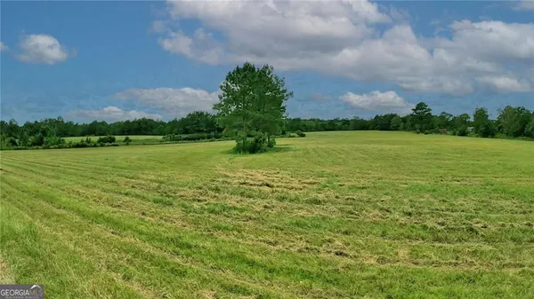 $1,199,999 | 91 Cane Circle, Nahunta, GA 31553