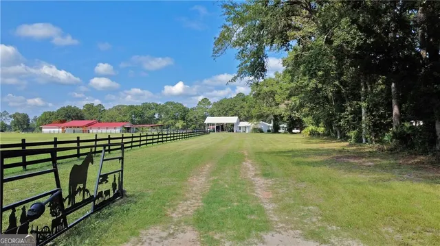 a view of a city with flower plants