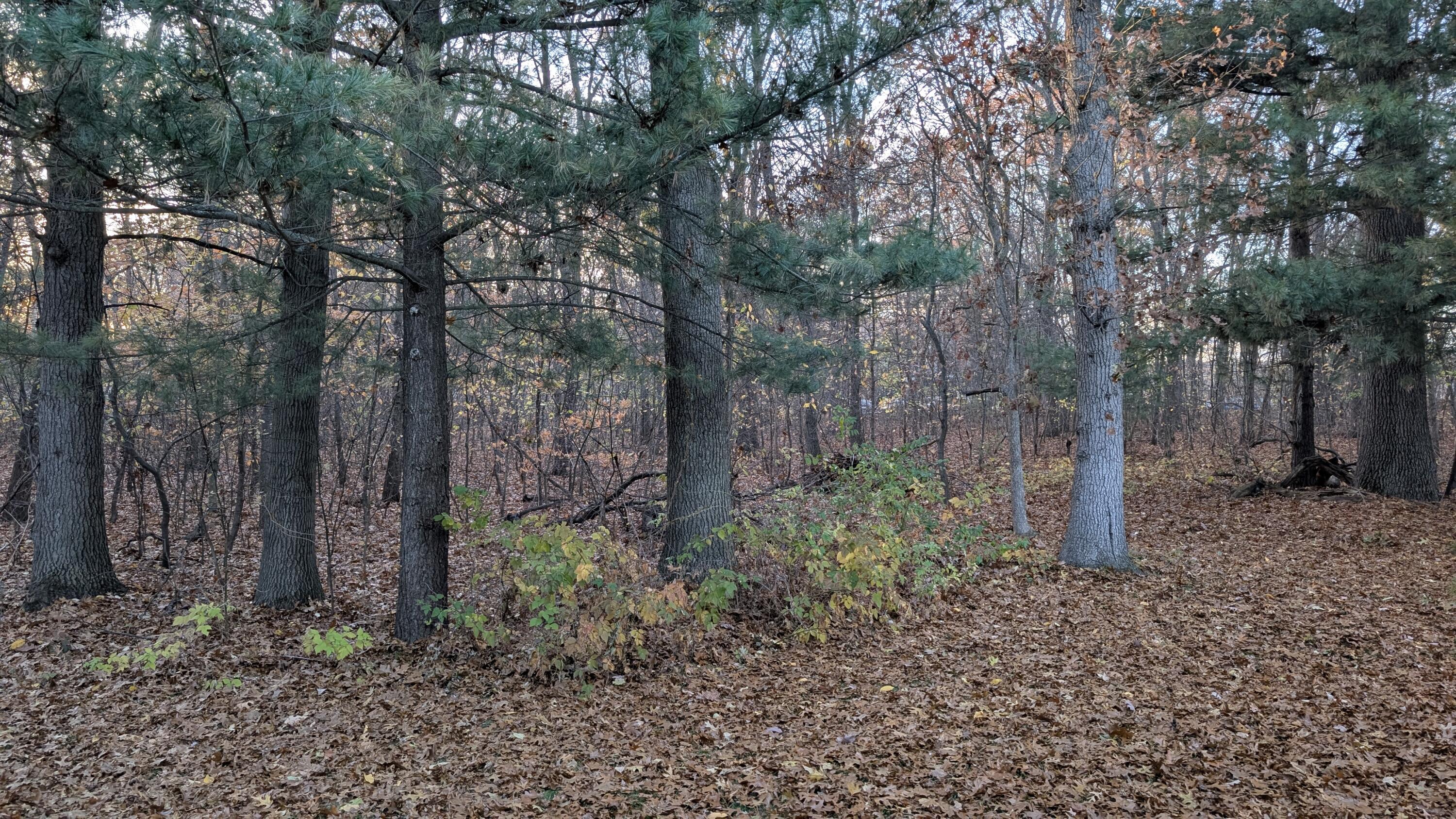 2952 Ridgeview Muskegon, MI 49445 - Photo 44 of 46 1000024587