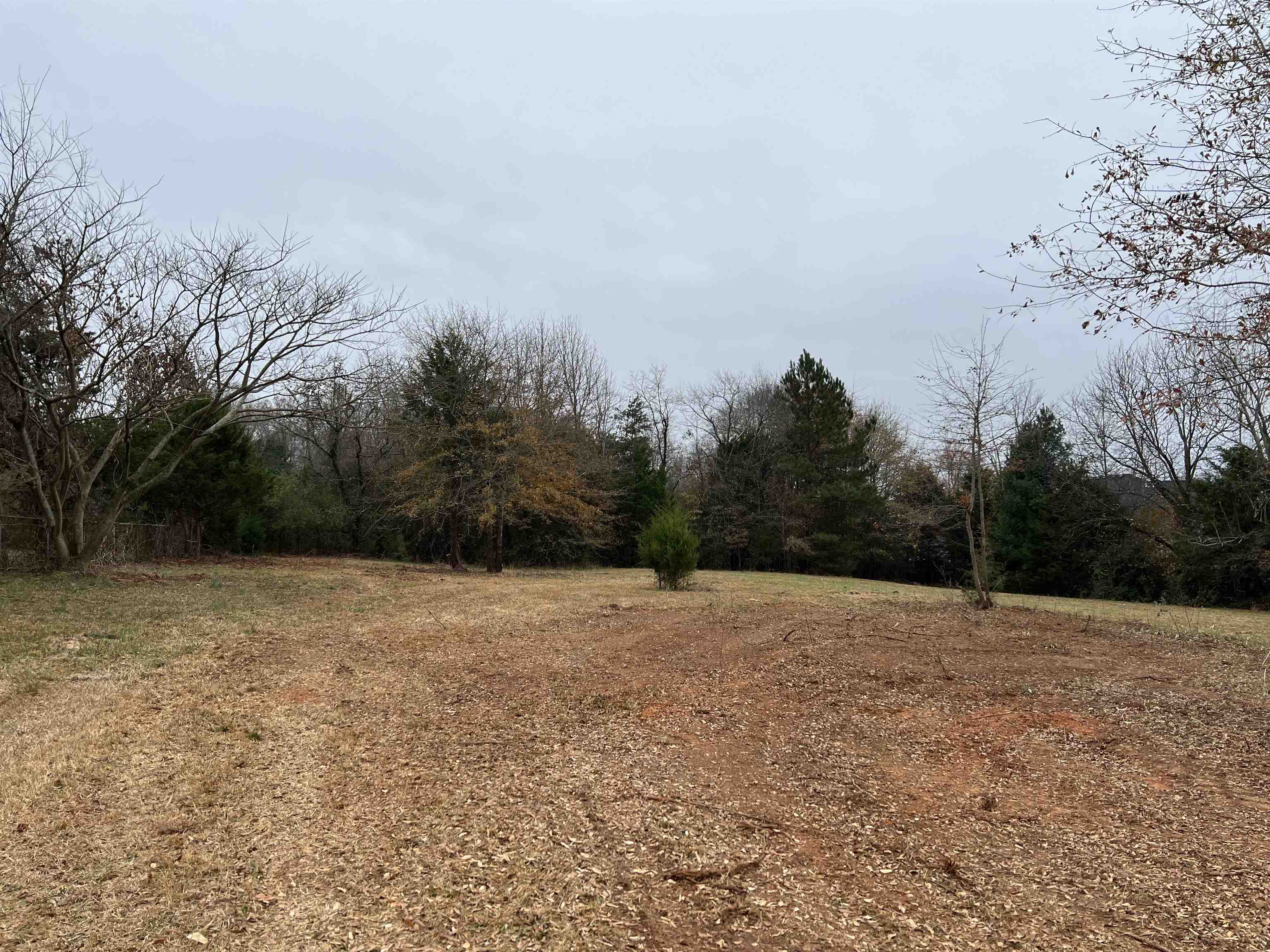 820 Abner Creek Road Greer, SC 29651 - Photo 3 of 3 Gallery Image 3
