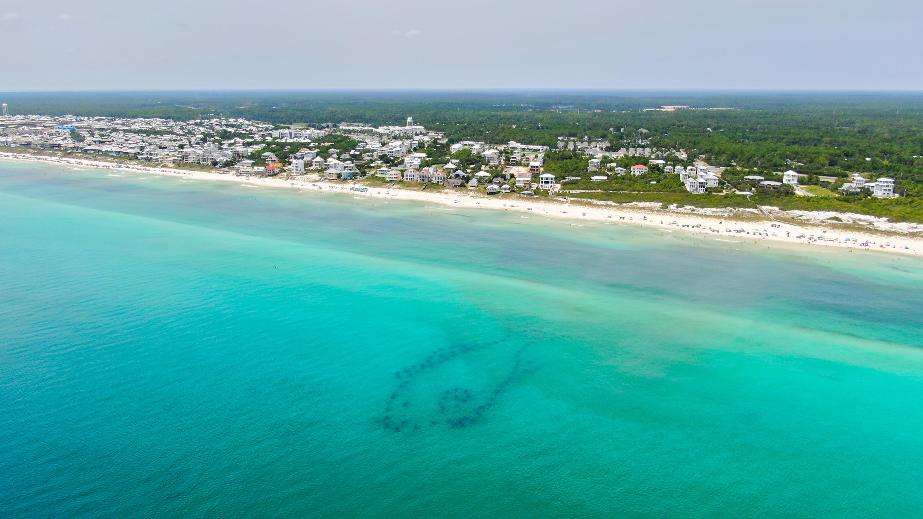 18 Pine Cone Trail Inlet Beach Inlet Beach, FL 32461 - Photo 15 of 24 a view of a field with an ocean