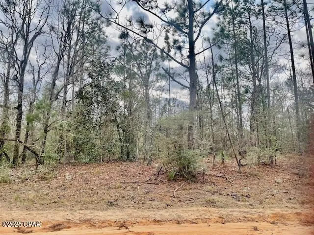 $12,000 | Lot 9 Red Road, Marianna, FL 32448