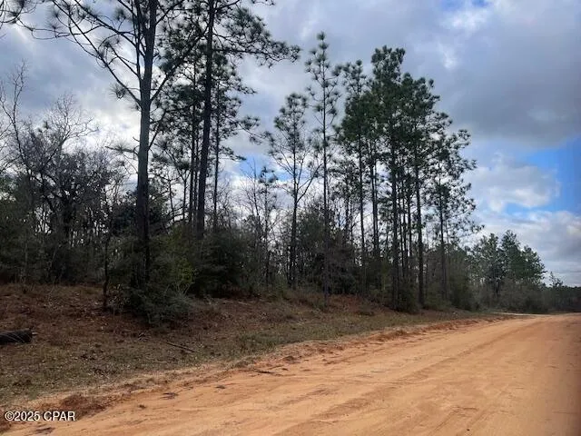 $12,000 | Lot 9 Red Road, Marianna, FL 32448