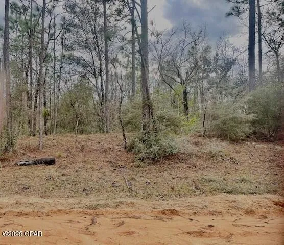 $12,000 | Lot 9 Red Road, Marianna, FL 32448