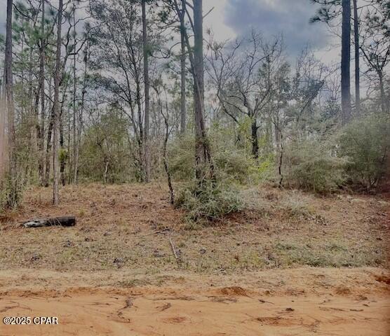 Lot 9 Red Road Marianna, FL 32448 - Photo 5 of 9