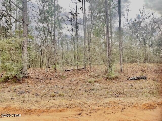 Lot 9 Red Road Marianna, FL 32448 - Photo 6 of 9