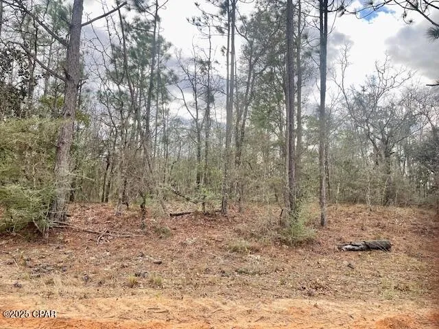 $12,000 | Lot 9 Red Road, Marianna, FL 32448