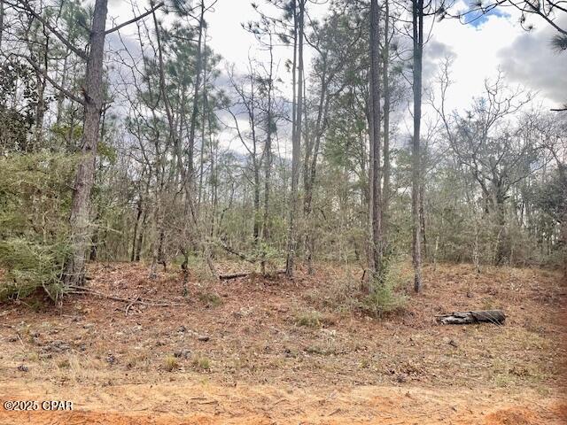 Lot 9 Red Road Marianna, FL 32448 - Photo 7 of 9