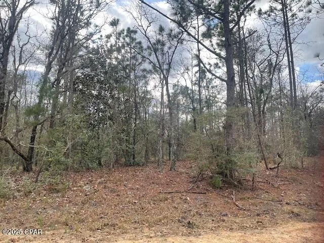 $12,000 | Lot 9 Red Road, Marianna, FL 32448