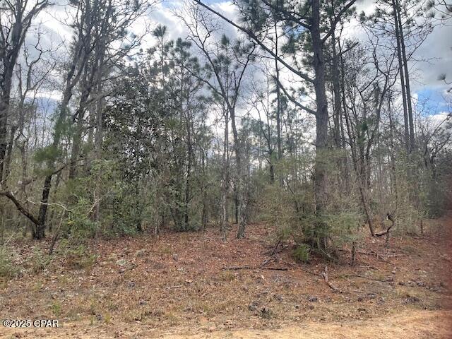 Lot 9 Red Road Marianna, FL 32448 - Photo 8 of 9