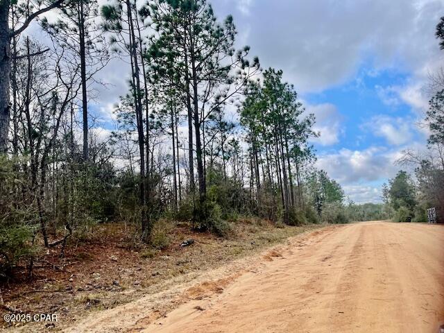Lot 9 Red Road Marianna, FL 32448 - Photo 9 of 9