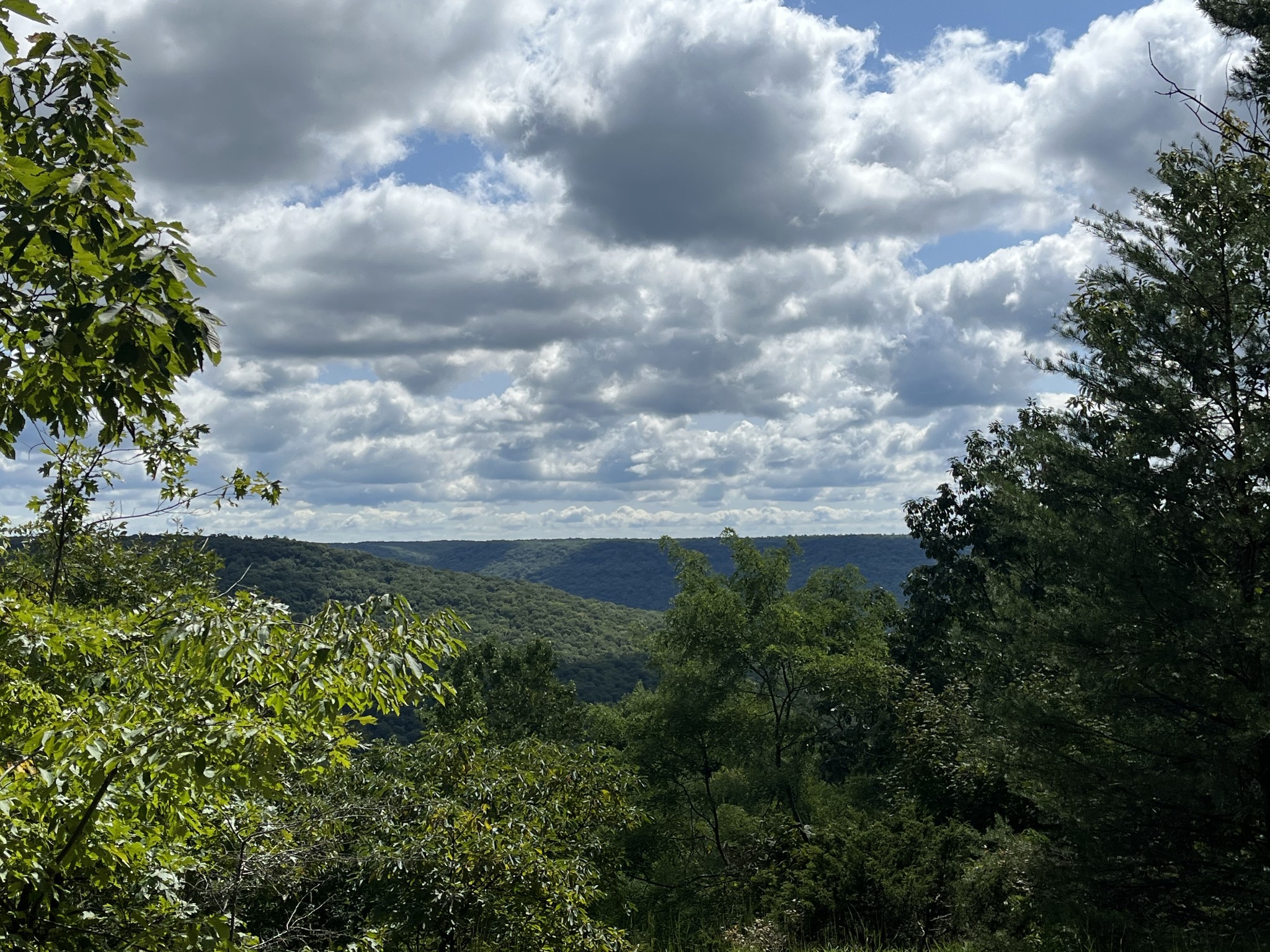 591 Natural Bridge Road Sewanee, TN 37375 - Photo 2 of 2 a view of a lake